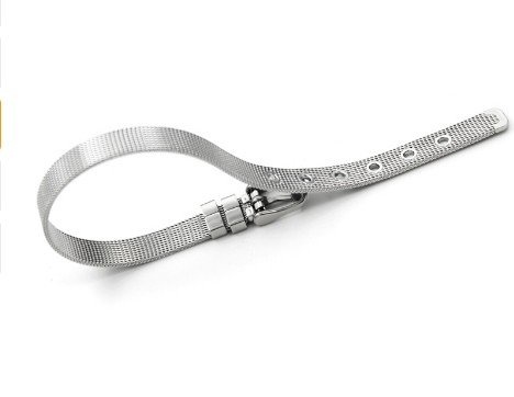 stalen riem armbandje