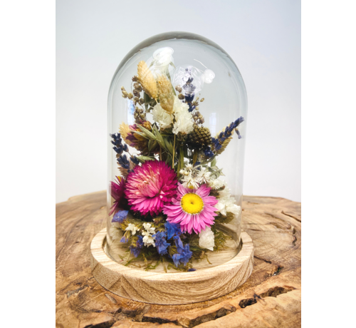 Droogbloemen in glazen stolp ''klein'' - ⌀13xH12cm