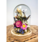Droogbloemen in glazen stolp ''klein'' - ⌀13xH12cm