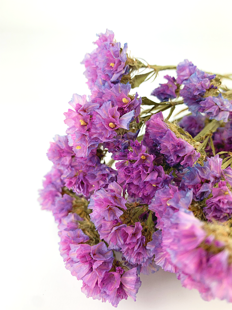 Statice Sinuata 'roze'