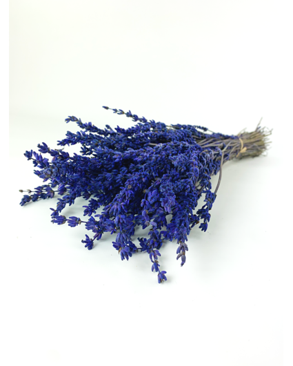 Lavendel 'Super Blue'