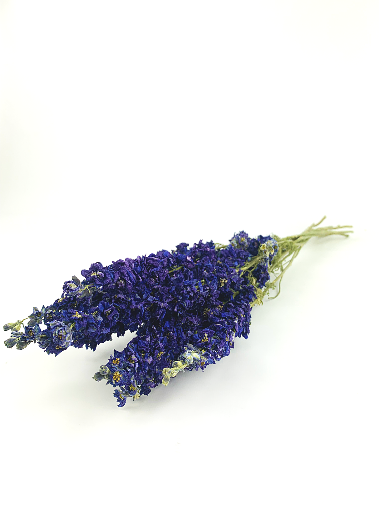 Delphinium 'dark blue' | gehele bos