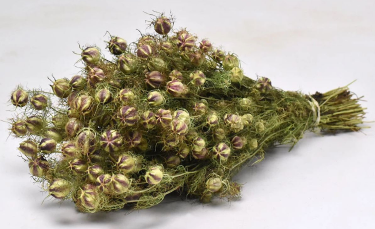 Nigella 'naturel'