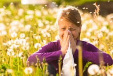 Droogbloemen en allergieën: hoe zit dat? 