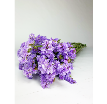 Statice Sinuata 'Lavendel' - deluxe