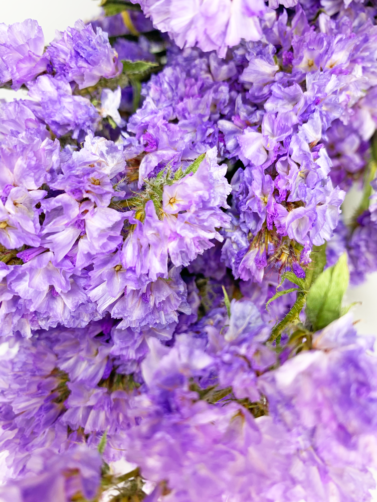 Statice Sinuata 'Lavendel' - deluxe