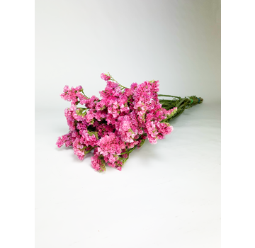 Statice Sinuata 'hot pink' - deluxe