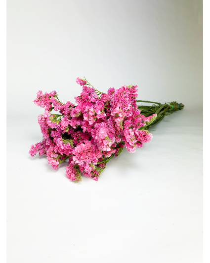 Statice Sinuata 'hot pink' - deluxe