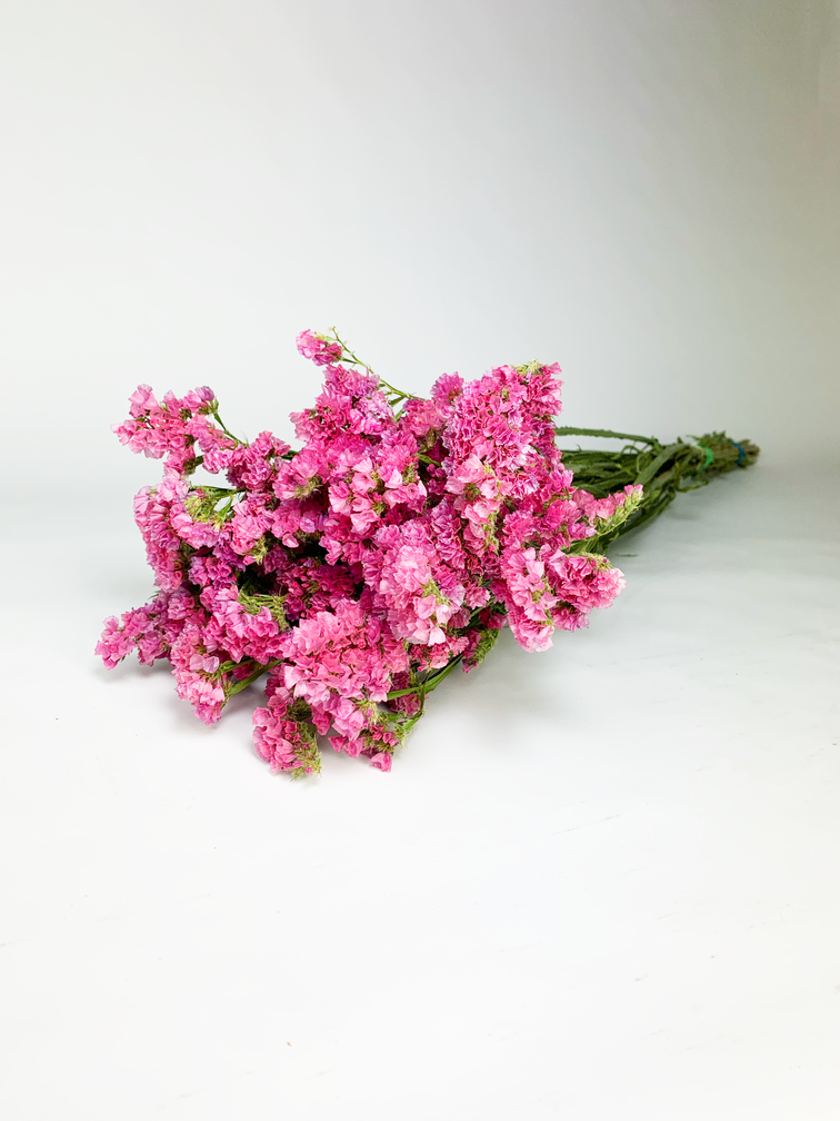 Statice Sinuata 'hot pink' - deluxe