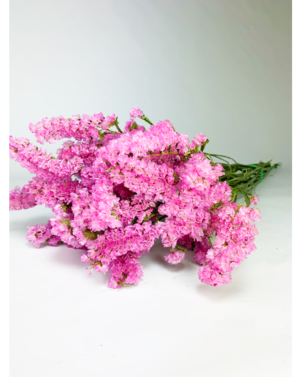 Statice Sinuata 'soft pink' - deluxe