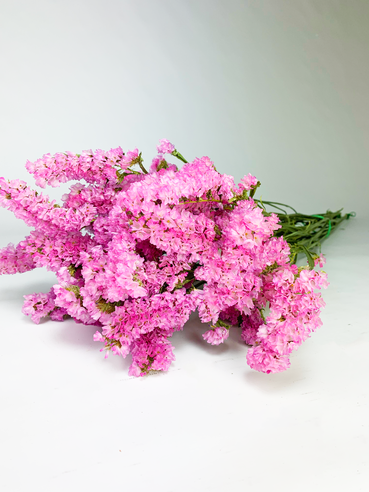 Statice Sinuata 'soft pink' - deluxe