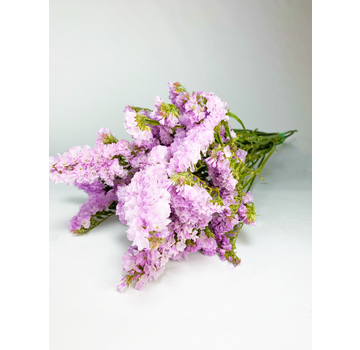 Statice Sinuata 'pastel pink' - deluxe
