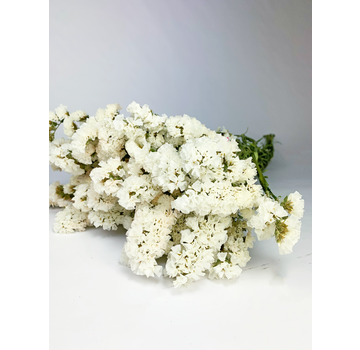 Statice Sinuata 'wit' - deluxe