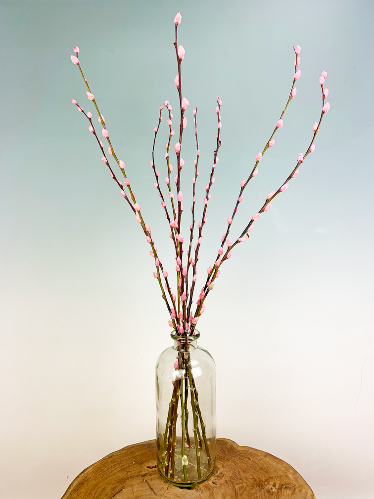 Wilgenkatjes | 3 kleuren