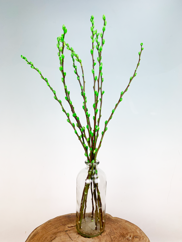 Wilgenkatjes | 3 kleuren