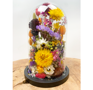 Droogbloemen in glazen stolp ''medium'' zwart  - ⌀14xH21cm