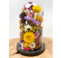 Droogbloemen in glazen stolp ''medium'' zwart - ⌀14xH21cm