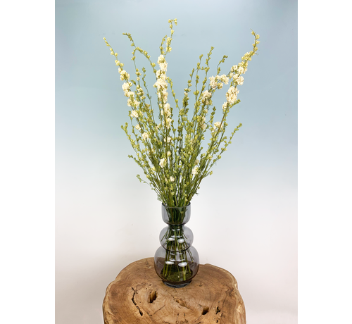 Droogbloemen boeket "Natural Delphinium" |  70cm