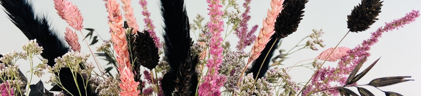 De geschiedenis van droogbloemen