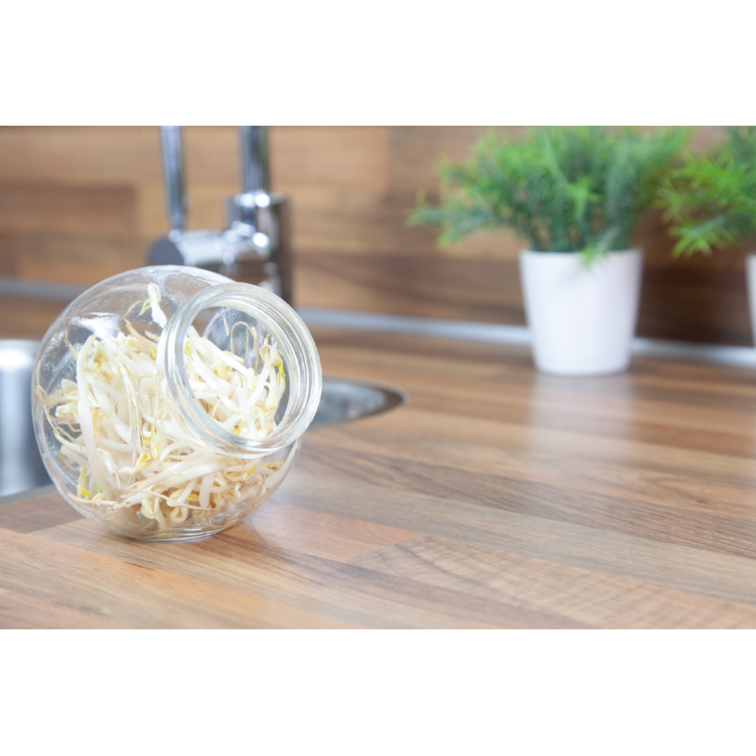 Buzzy Organic "Taugé" - in de sale!!