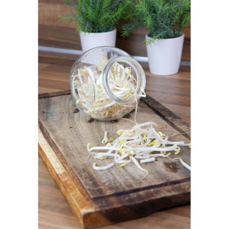 Buzzy Organic "Taugé" - in de sale!!