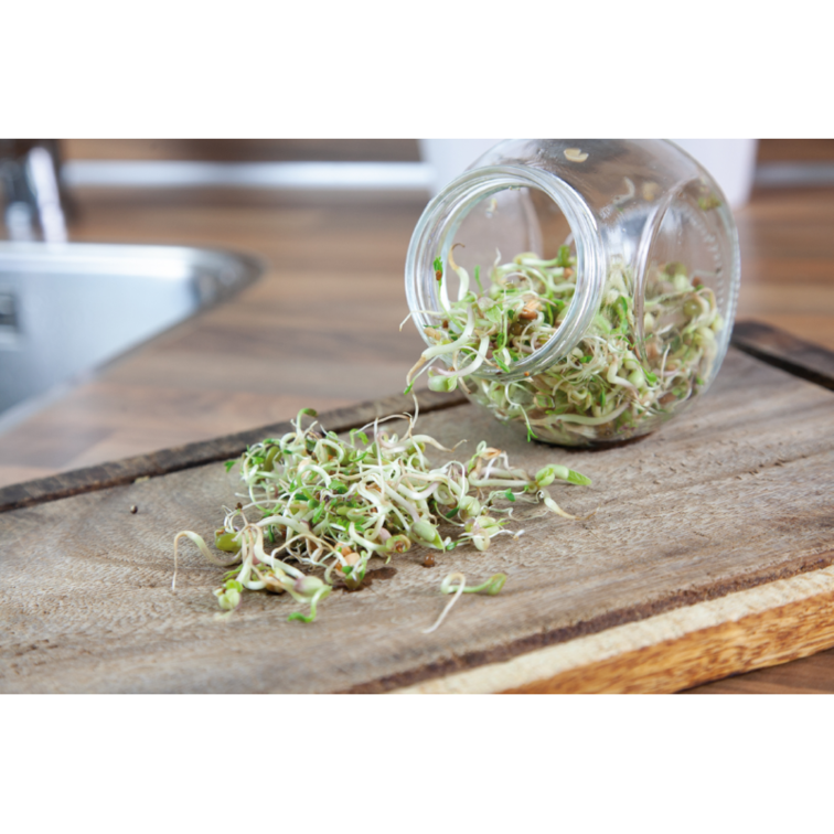 Buzzy Organic "Salade Mix" - in de sale!!