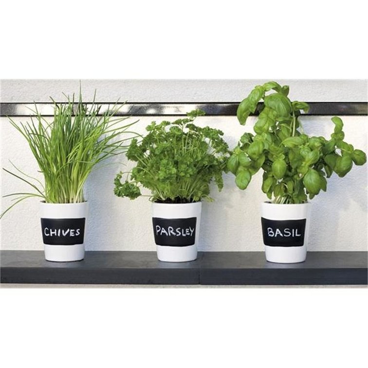 Buzzy "bio" keukenkruiden (krijt)set - SALE