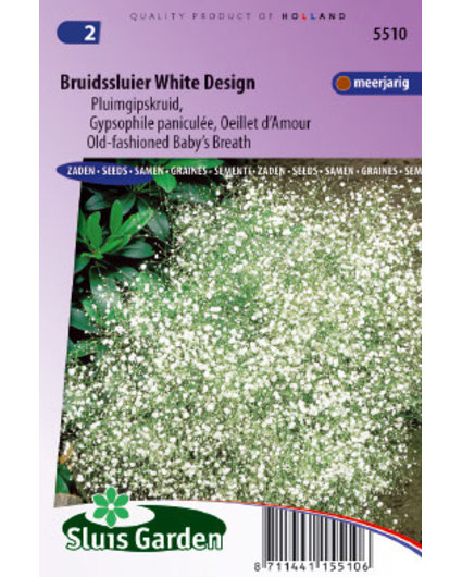 Bruidssluier White Design (Gypsophila) - ca. 300 zaadjes