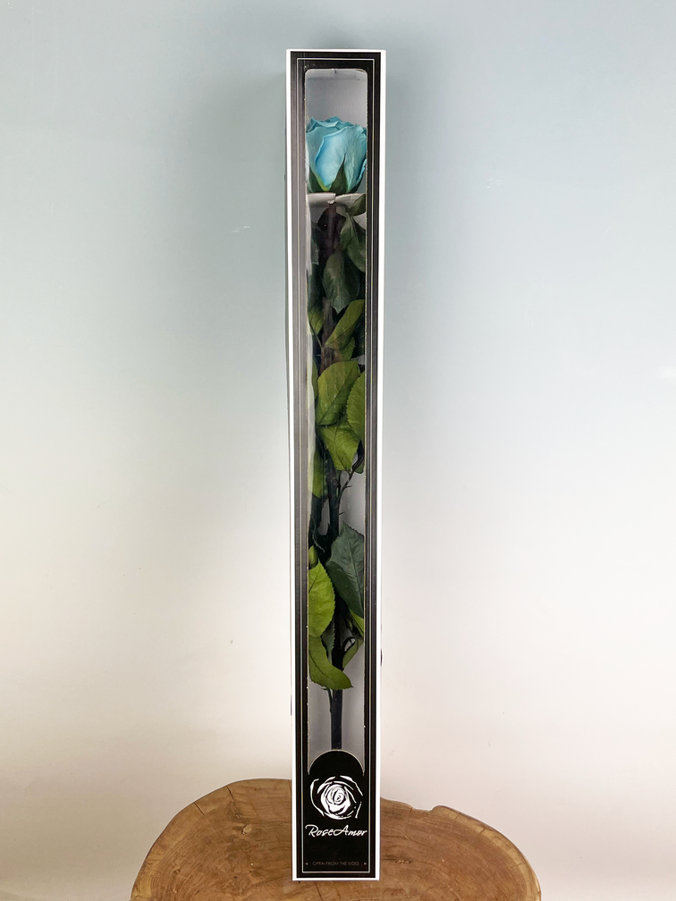 Longlife Roos 70cm in giftbox - verschillende kleuren