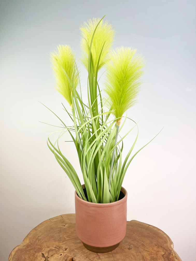 Ter Steege bloempot Suze "roze" | 13x13cm