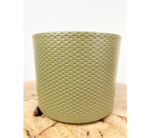 Ter Steege bloempot Era - Groen - 13s15cm