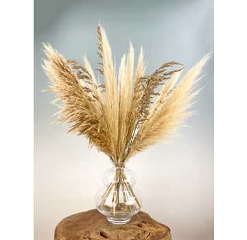 Droogbloemen boeket "Pampas Life" | 70cm