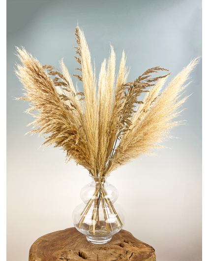 Droogbloemen boeket "Pampas Life" | 70cm