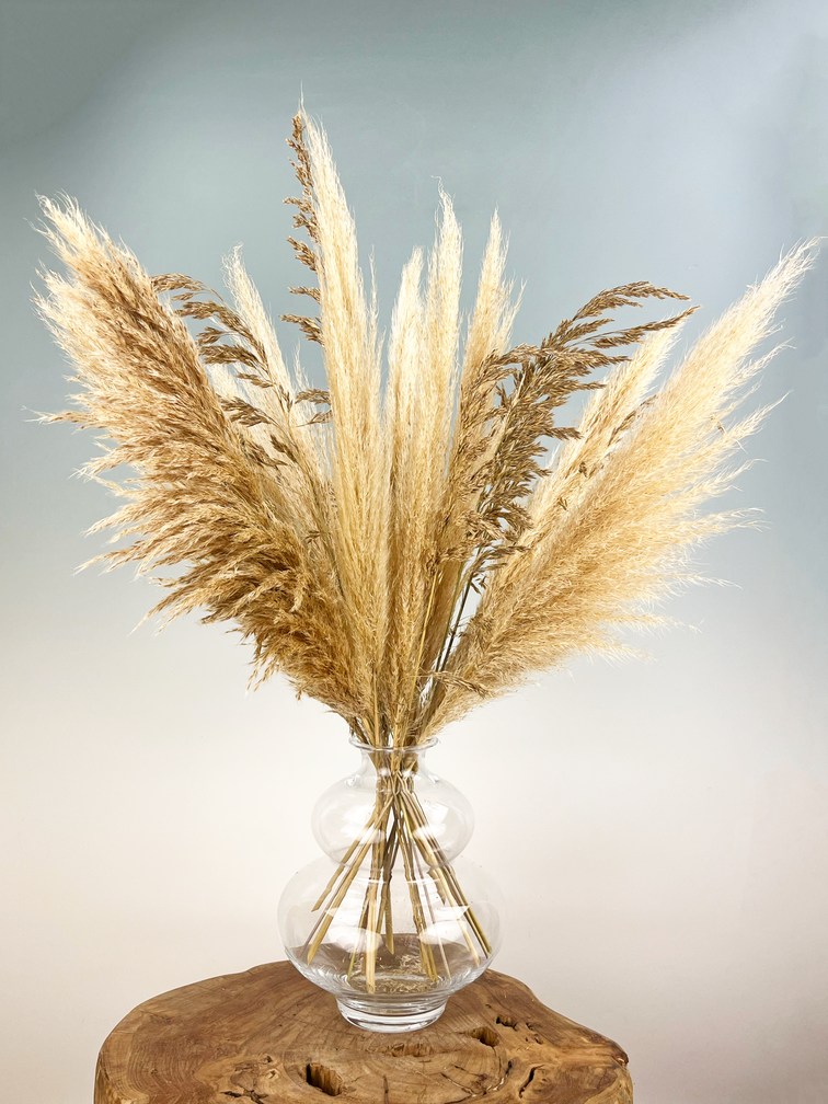 Droogbloemen boeket "Pampas Life" | 70cm