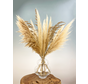 Droogbloemen boeket "Pampas Life" | 70cm