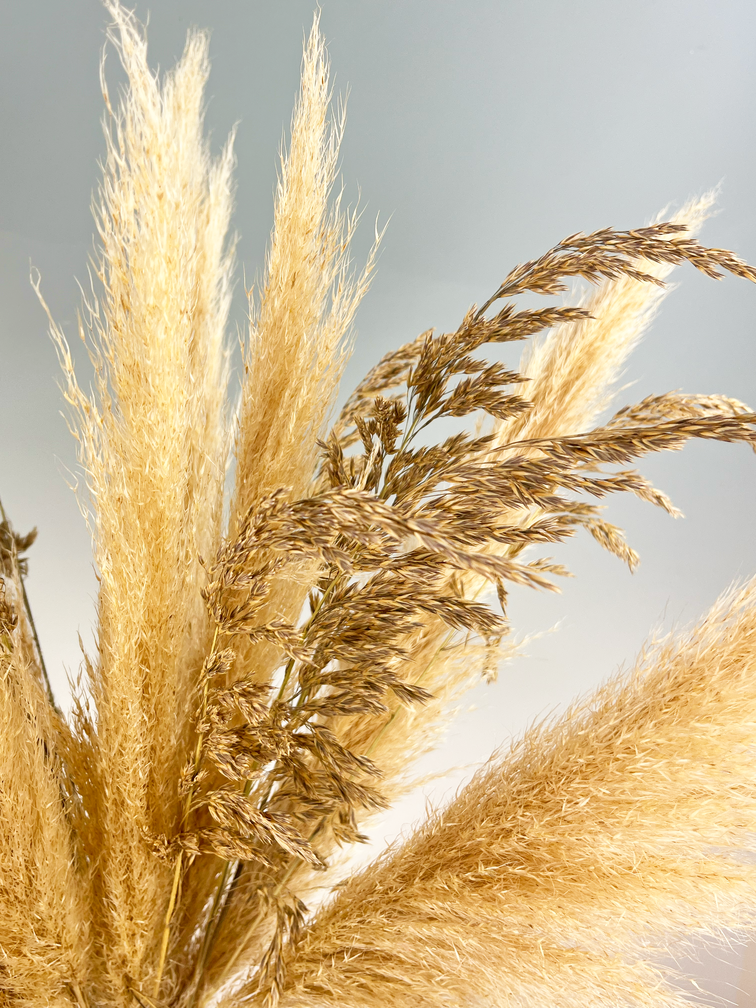 Droogbloemen boeket "Pampas Life" | 70cm