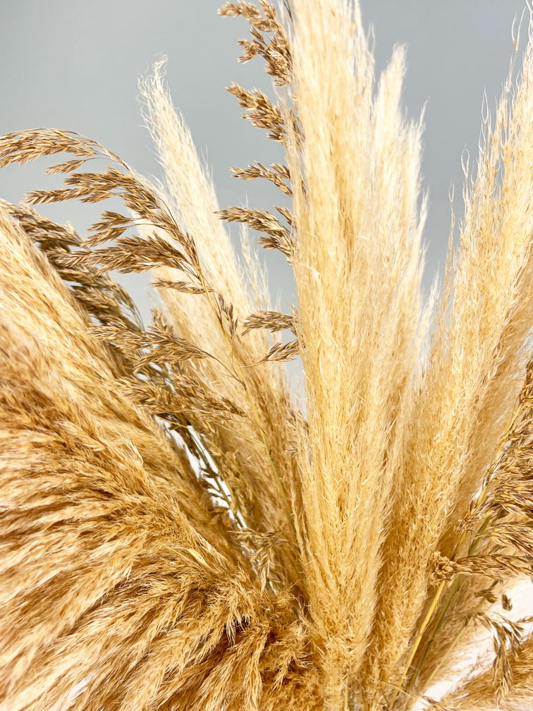 Droogbloemen boeket "Pampas Life" | 70cm