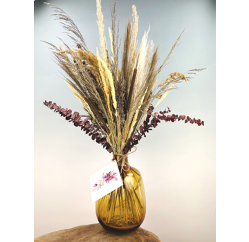 Droogbloemen boeket "Pampas Dream" | 65cm