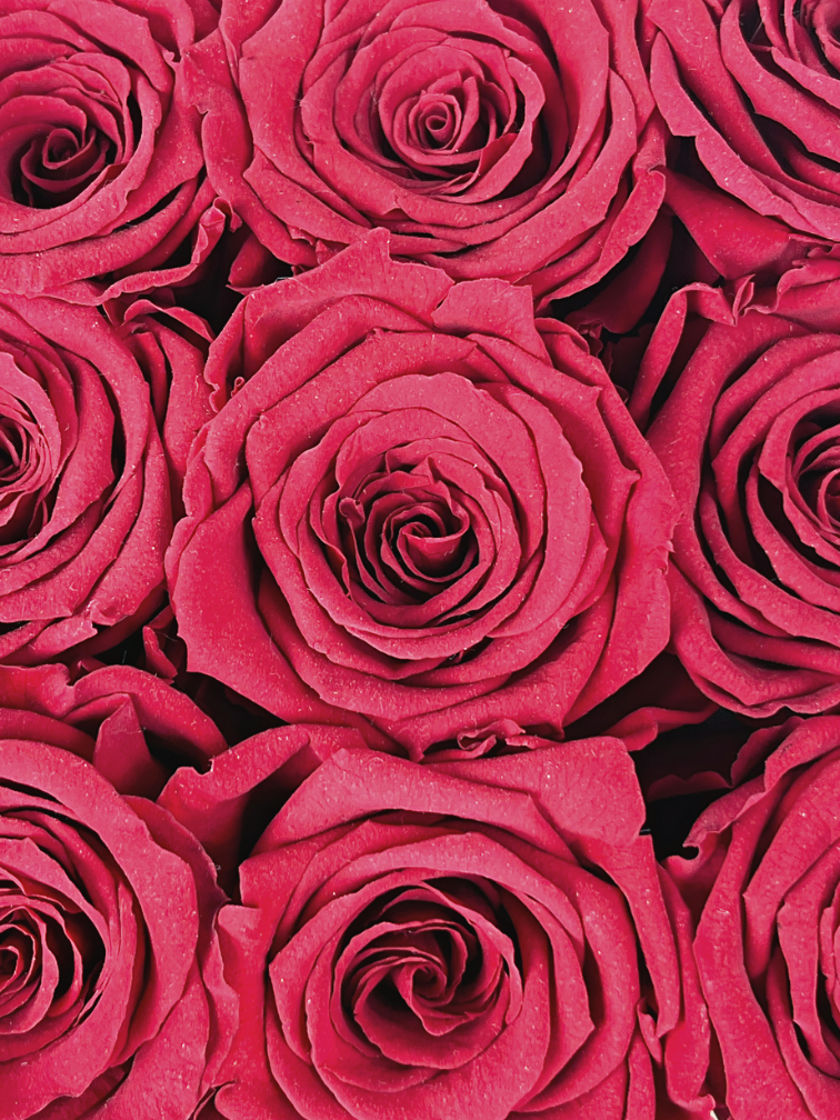 Luxe Longlife Rozenbox (9 rozen) - "rood"