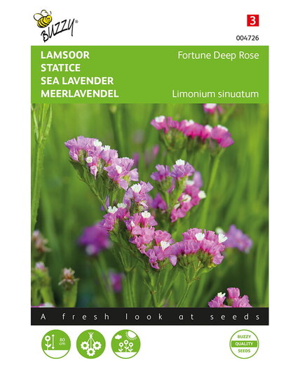 Buzzy® Buzzy® Limonium, Lamsoor Fortune Deep Rose