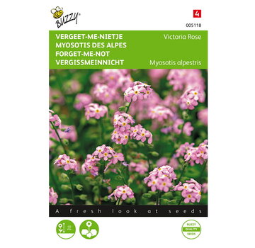 Buzzy® Buzzy® Myosotis, 'vergeet-me-nietje' Victoria Rose