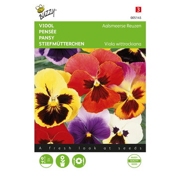 Buzzy® Buzzy® Viola, Viool Aalsmeerse Reuzen gemengd