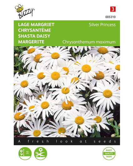 Buzzy® Buzzy® Chrysanthemum, Lage Margriet Silver Princess