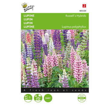 Buzzy® Buzzy® Lupinus, Lupine Russell’s Hybrids gemengd