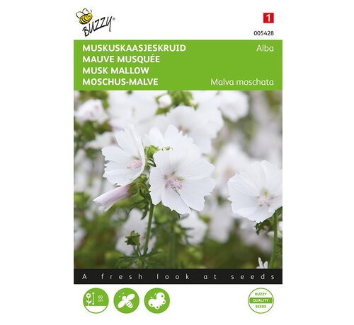 Buzzy® Buzzy® Malva, Muskuskaasjeskruid Alba wit