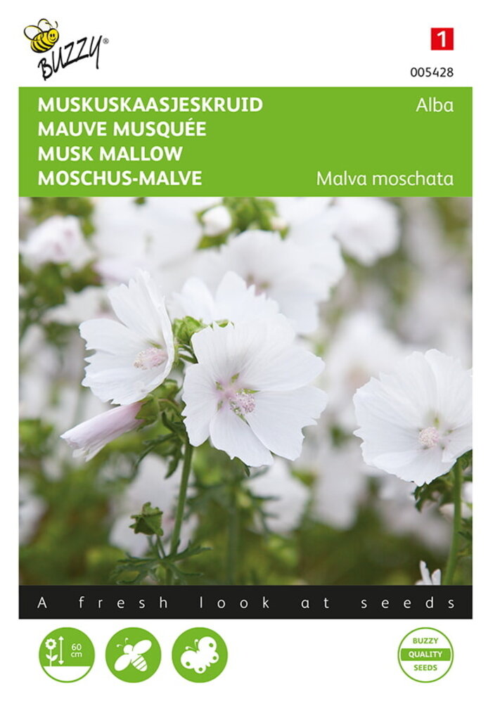 Buzzy® Malva, Muskuskaasjeskruid Alba wit