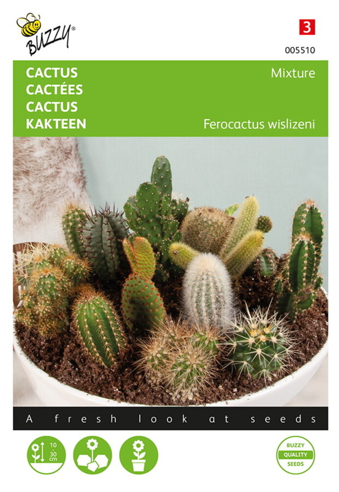 Buzzy® Cactusmengsel Vele soorten