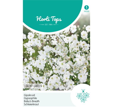 HT HT Gypsophila, Gipskruid Covent Garden wit