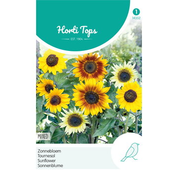 HT HT Helianthus, Zonnebloem gemengd