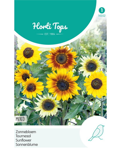 HT HT Helianthus, Zonnebloem gemengd